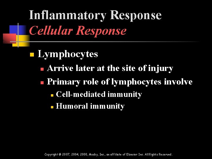 Inflammatory Response Cellular Response n Lymphocytes Arrive later at the site of injury n