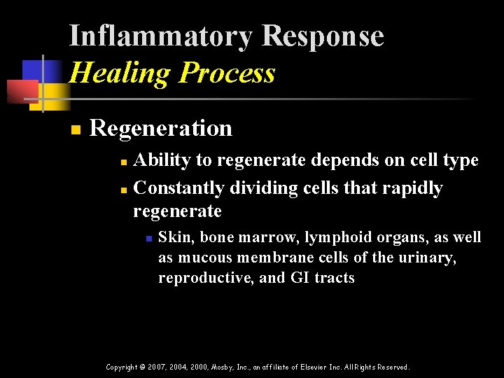 Inflammatory Response Healing Process n Regeneration Ability to regenerate depends on cell type n