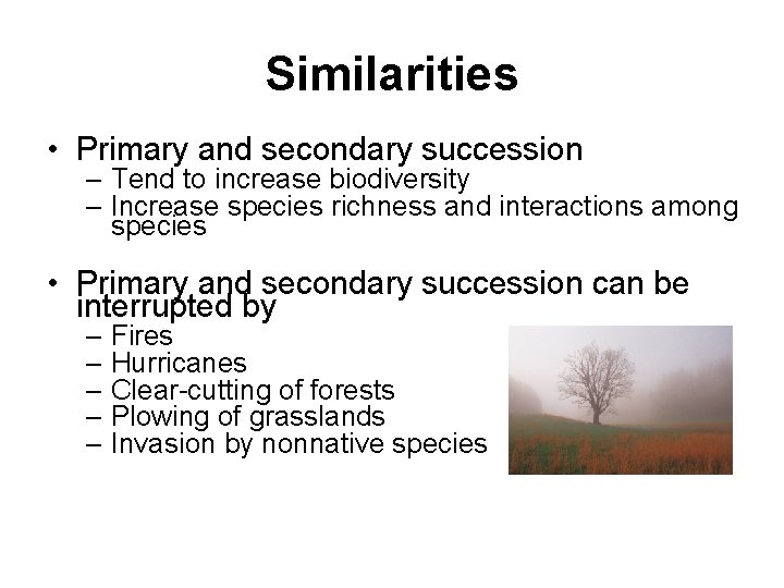 Similarities • Primary and secondary succession – Tend to increase biodiversity – Increase species