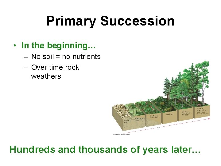 Primary Succession • In the beginning… – No soil = no nutrients – Over
