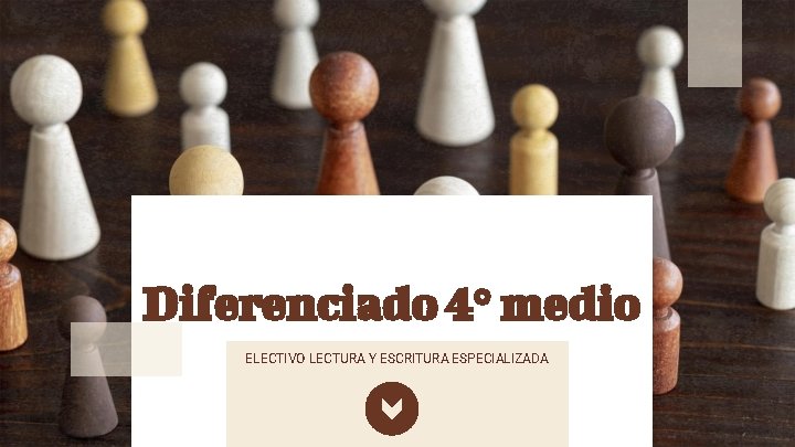 Diferenciado 4° medio ELECTIVO LECTURA Y ESCRITURA ESPECIALIZADA 