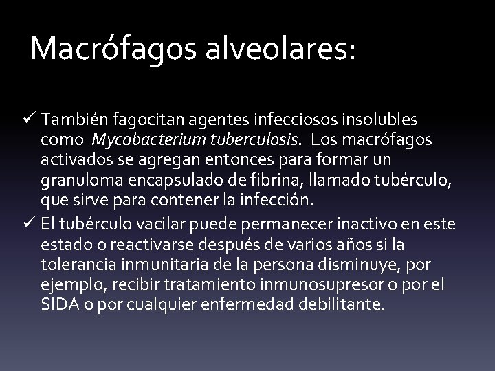 Macrófagos alveolares: ü También fagocitan agentes infecciosos insolubles como Mycobacterium tuberculosis. Los macrófagos activados