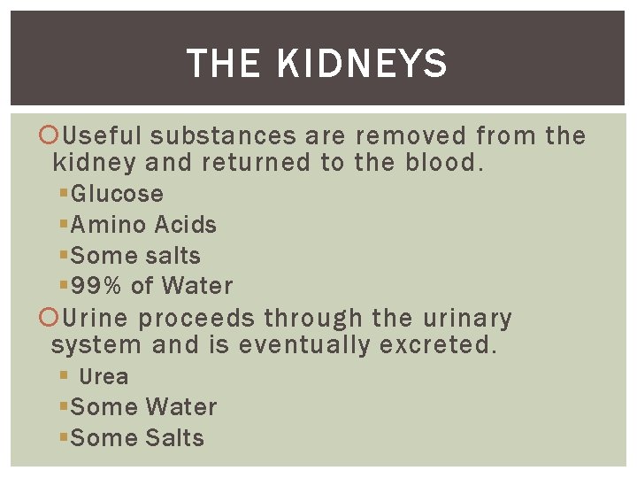 THE KIDNEYS Useful substances are removed from the kidney and returned to the blood.