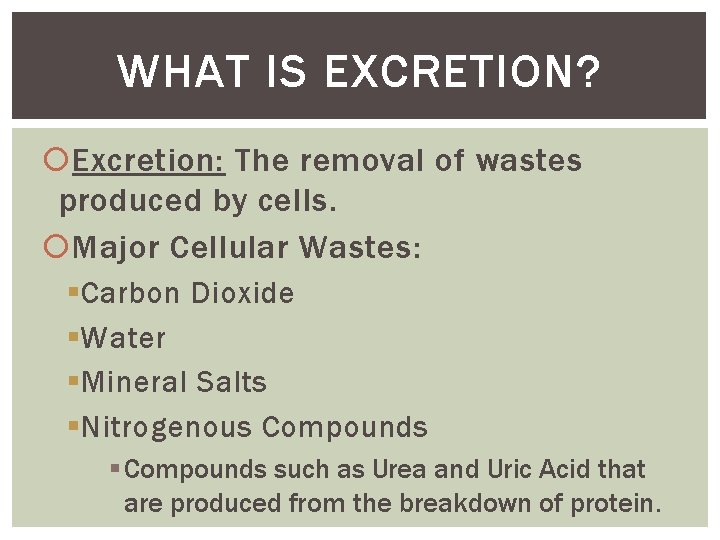 WHAT IS EXCRETION? Excretion: The removal of wastes produced by cells. Major Cellular Wastes: