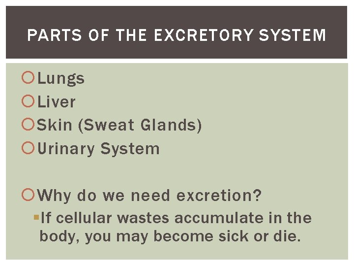 PARTS OF THE EXCRETORY SYSTEM Lungs Liver Skin (Sweat Glands) Urinary System Why do