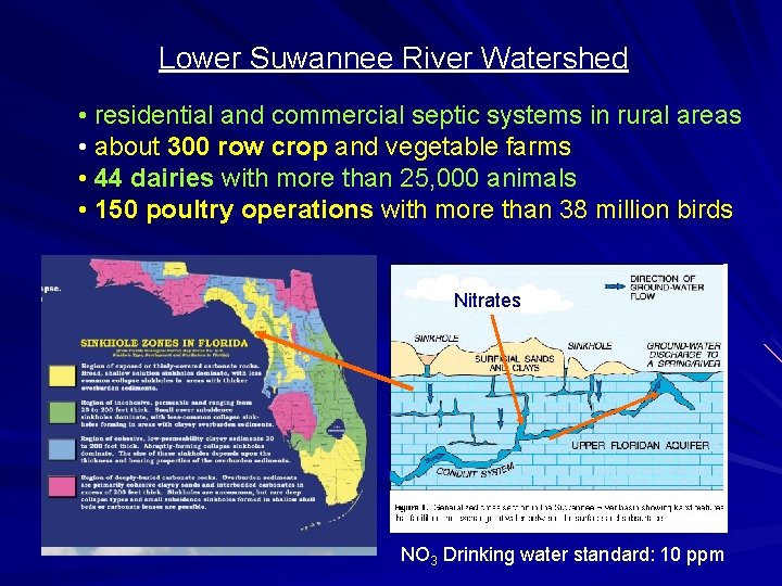 Lower Suwannee River Watershed • residential and commercial septic systems in rural areas •