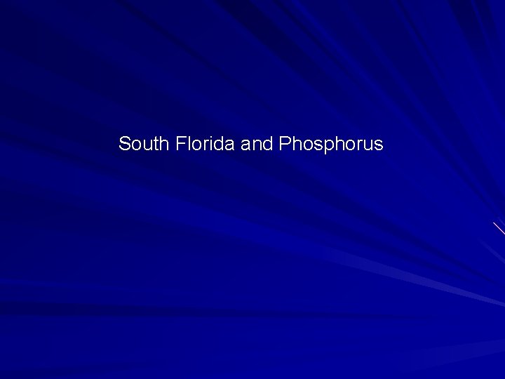 South Florida and Phosphorus 