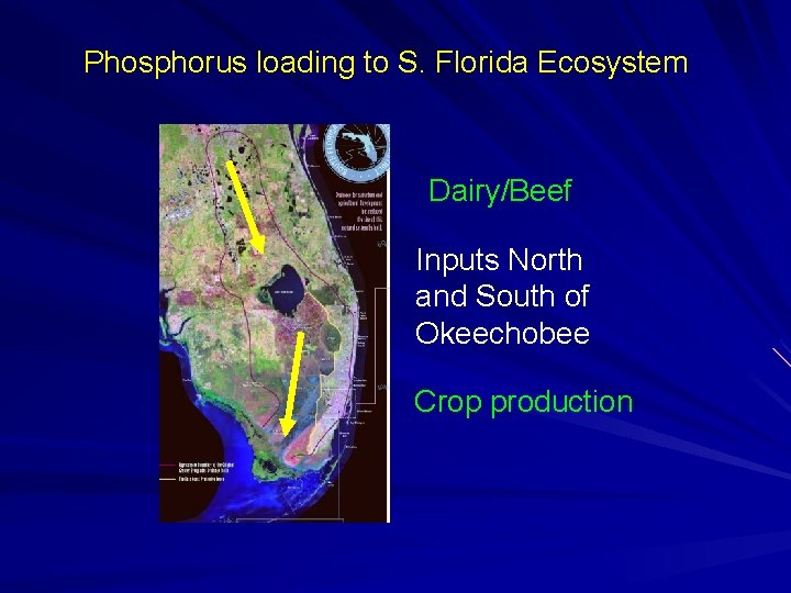 Phosphorus loading to S. Florida Ecosystem Dairy/Beef Inputs North and South of Okeechobee Crop