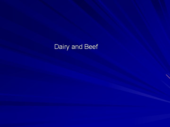 Dairy and Beef 