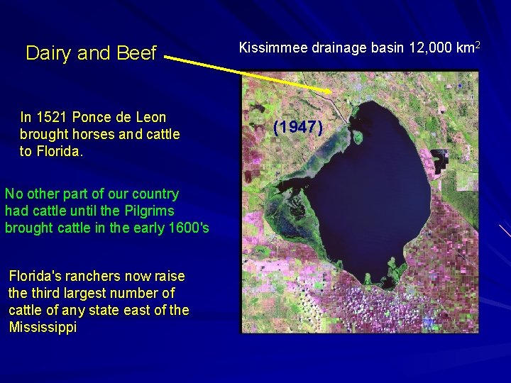 Dairy and Beef In 1521 Ponce de Leon brought horses and cattle to Florida.