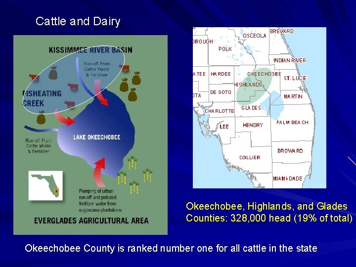 Cattle and Dairy Okeechobee, Highlands, and Glades Counties: 328, 000 head (19% of total)