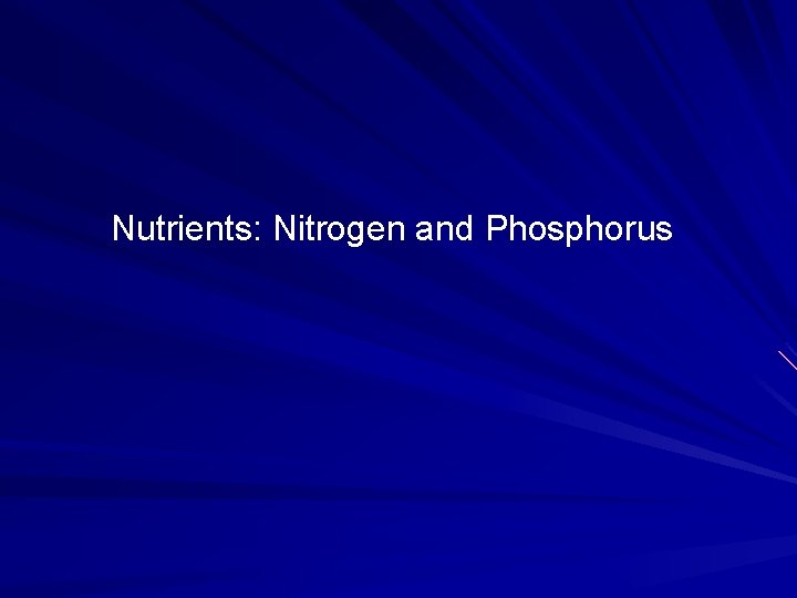 Nutrients: Nitrogen and Phosphorus 