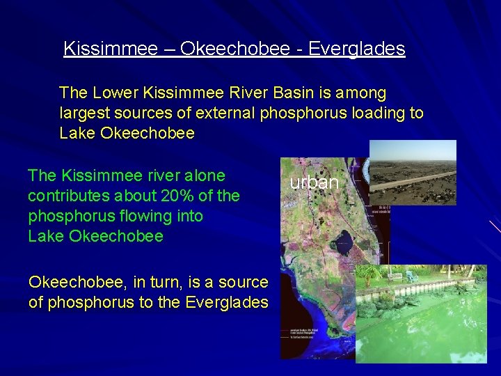 Kissimmee – Okeechobee - Everglades The Lower Kissimmee River Basin is among largest sources