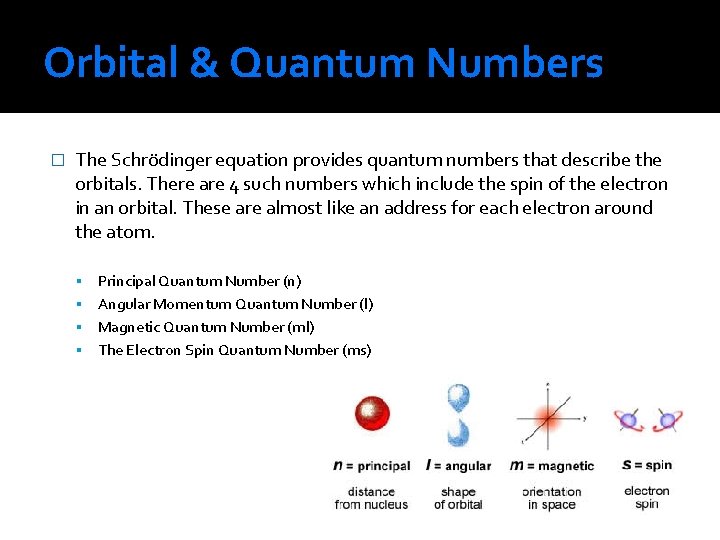Orbital & Quantum Numbers � The Schrödinger equation provides quantum numbers that describe the