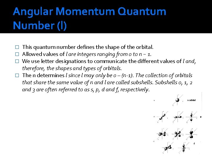 Angular Momentum Quantum Number (l) This quantum number defines the shape of the orbital.