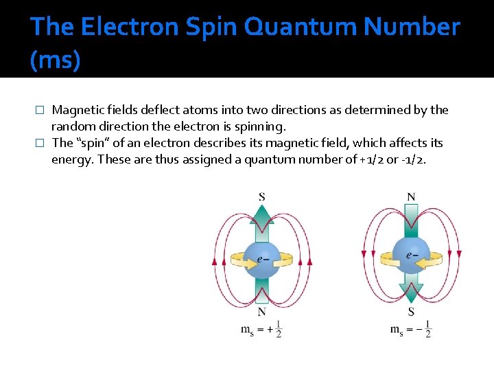 The Electron Spin Quantum Number (ms) Magnetic fields deflect atoms into two directions as