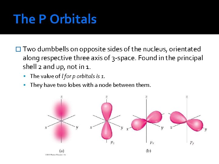 The P Orbitals � Two dumbbells on opposite sides of the nucleus, orientated along