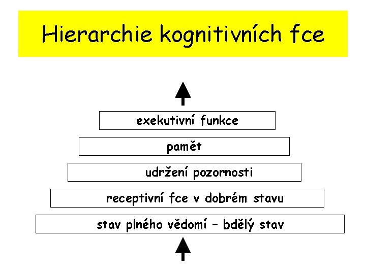Hierarchie kognitivních fce exekutivní funkce pamět udržení pozornosti receptivní fce v dobrém stavu stav