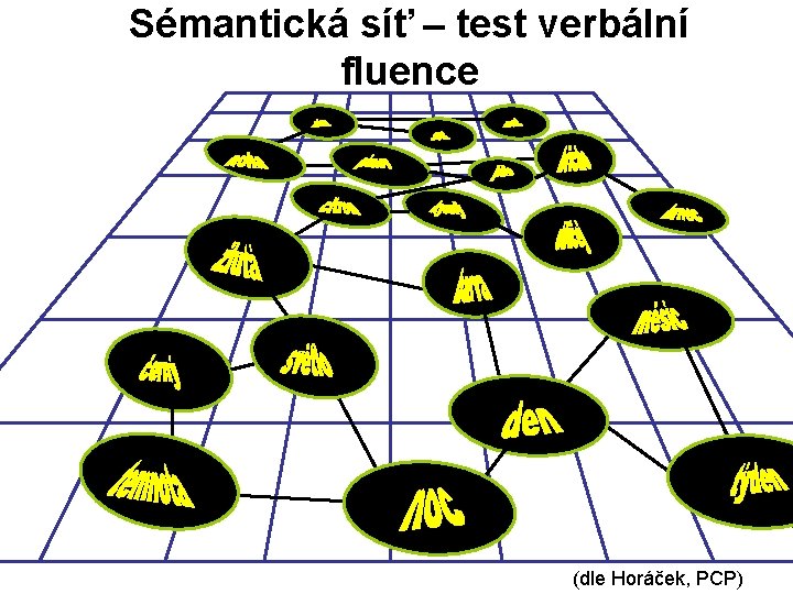 Sémantická síť – test verbální fluence (dle Horáček, PCP) 