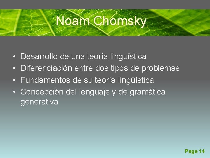 Noam Chomsky • • Desarrollo de una teoría lingüística Diferenciación entre dos tipos de