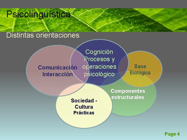 Psicolingüística Distintas orientaciones Cognición Procesos y Comunicación operaciones psicológico Interacción Sociedad Cultura Base Biológica