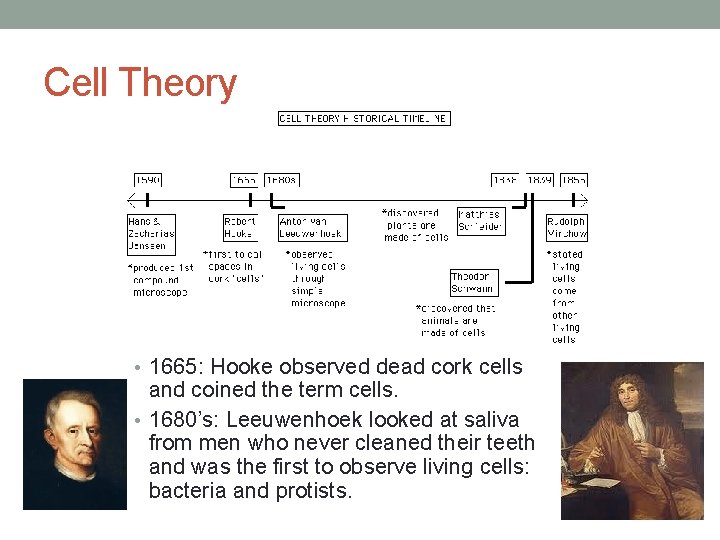Cell Theory • 1665: Hooke observed dead cork cells and coined the term cells.