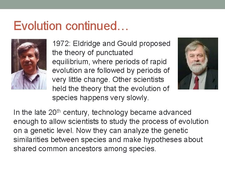 Evolution continued… 1972: Eldridge and Gould proposed theory of punctuated equilibrium, where periods of