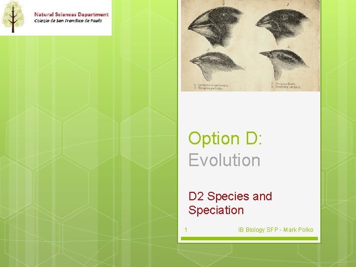 Option D: Evolution D 2 Species and Speciation 1 IB Biology SFP - Mark