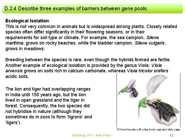 D. 2. 4 Describe three examples of barriers between gene pools. Ecological Isolation This