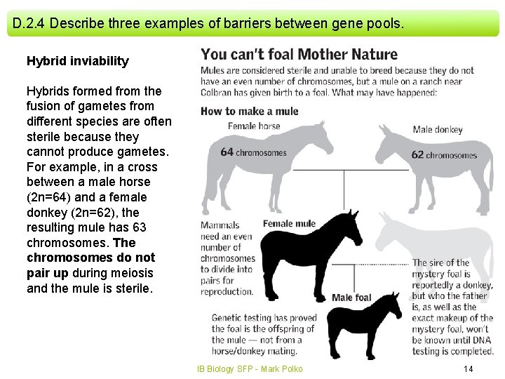 D. 2. 4 Describe three examples of barriers between gene pools. Hybrid inviability Hybrids