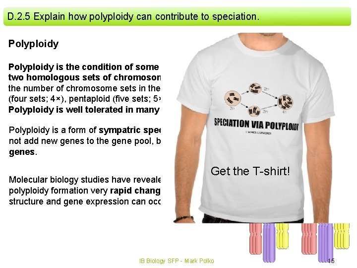 D. 2. 5 Explain how polyploidy can contribute to speciation. Polyploidy is the condition