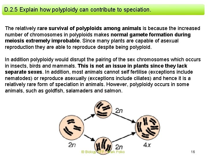 D. 2. 5 Explain how polyploidy can contribute to speciation. The relatively rare survival