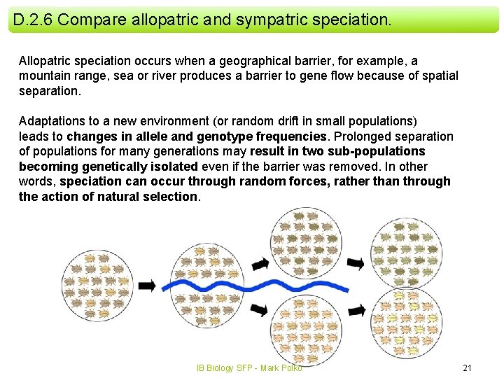 D. 2. 6 Compare allopatric and sympatric speciation. Allopatric speciation occurs when a geographical