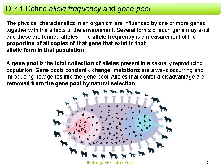 D. 2. 1 Define allele frequency and gene pool The physical characteristics in an