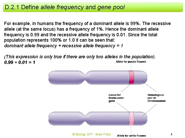 D. 2. 1 Define allele frequency and gene pool For example, in humans the