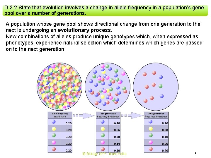 D. 2. 2 State that evolution involves a change in allele frequency in a