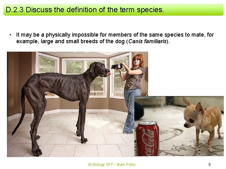 D. 2. 3 Discuss the definition of the term species. • It may be