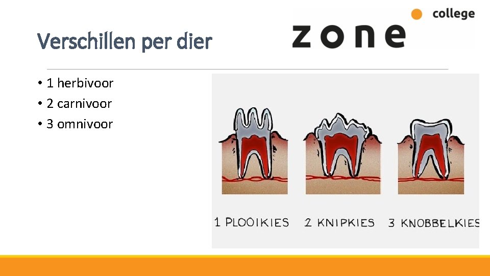 Verschillen per dier • 1 herbivoor • 2 carnivoor • 3 omnivoor 