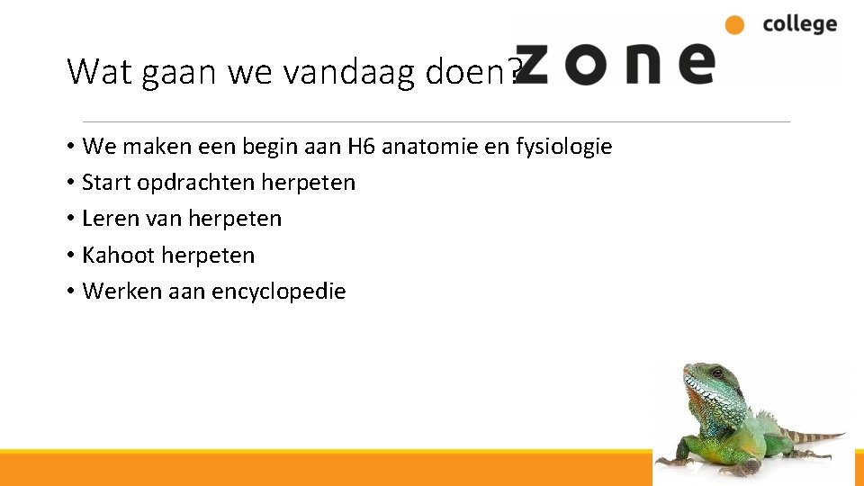 Wat gaan we vandaag doen? • We maken een begin aan H 6 anatomie