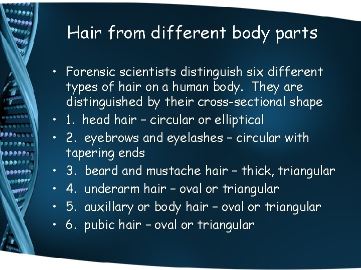 Hair from different body parts • Forensic scientists distinguish six different types of hair