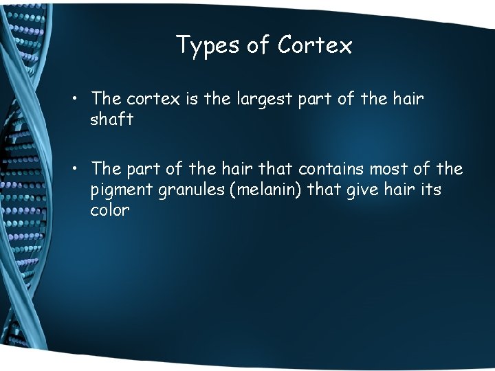 Types of Cortex • The cortex is the largest part of the hair shaft