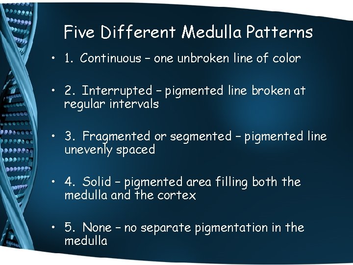 Five Different Medulla Patterns • 1. Continuous – one unbroken line of color •