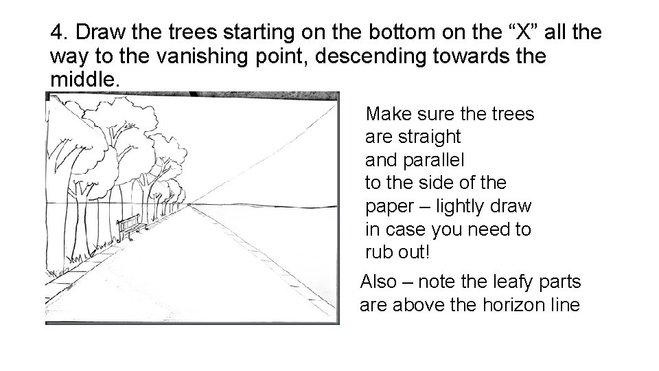 4. Draw the trees starting on the bottom on the “X” all the way
