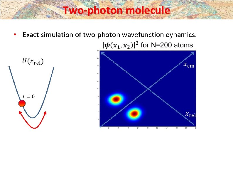 Two-photon molecule • Exact simulation of two-photon wavefunction dynamics: 