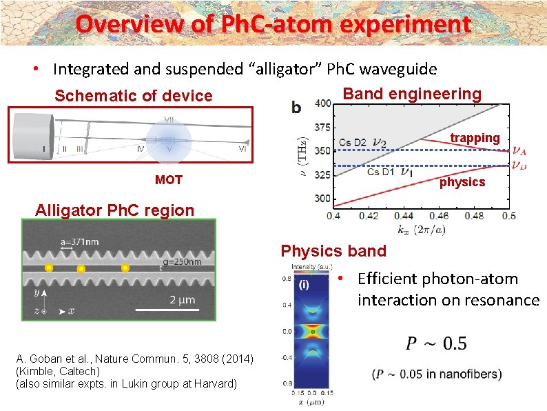 Overview of Ph. C-atom experiment • Integrated and suspended “alligator” Ph. C waveguide Schematic