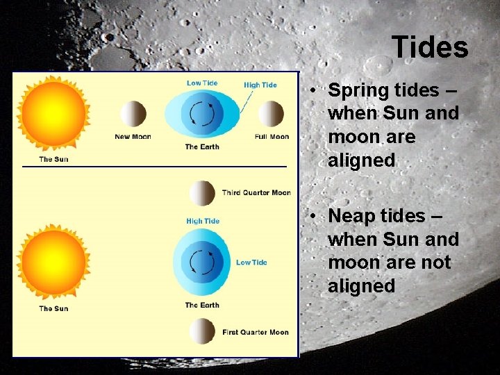 Tides • Spring tides – when Sun and moon are aligned • Neap tides