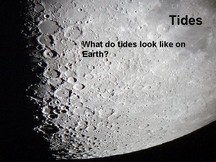 Tides • What do tides look like on Earth? 