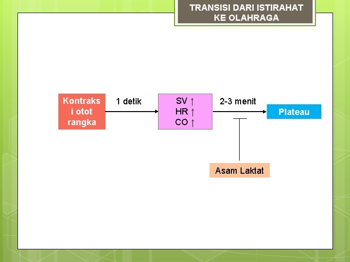 TRANSISI DARI ISTIRAHAT KE OLAHRAGA Kontraks i otot rangka 1 detik SV ↑ HR