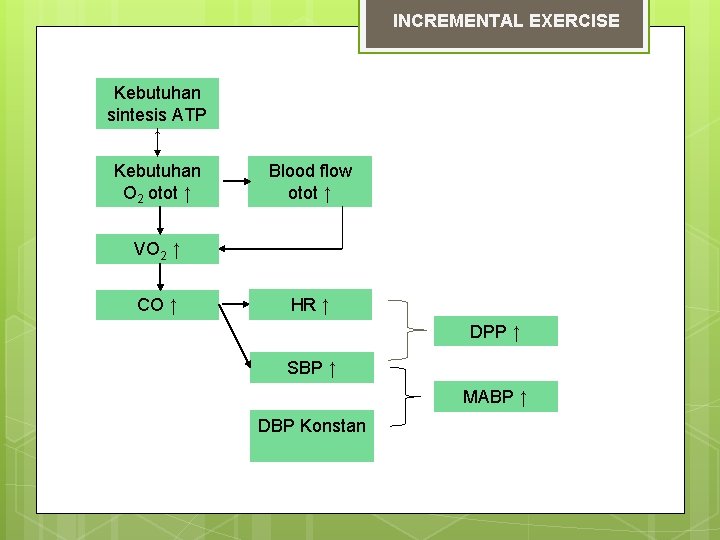 INCREMENTAL EXERCISE Kebutuhan sintesis ATP ↑ Kebutuhan O 2 otot ↑ Blood flow otot