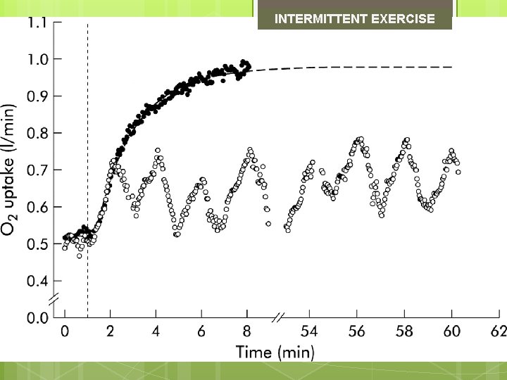 INTERMITTENT EXERCISE 